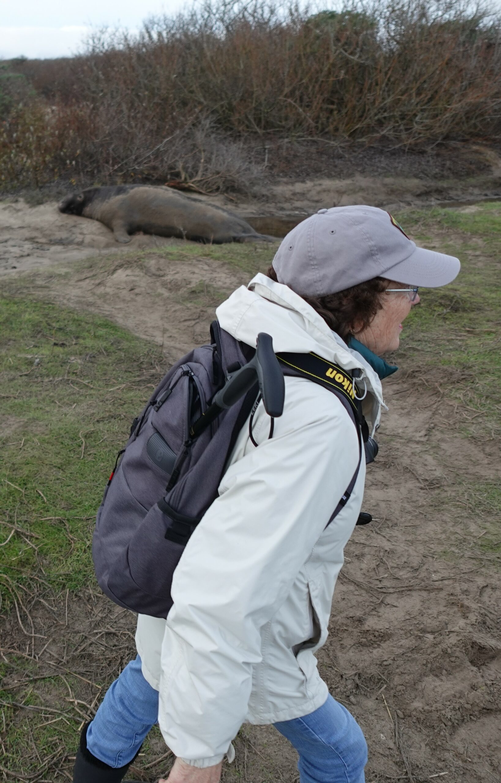 A woman wearing the right clothes and bringing the right gear to the park.