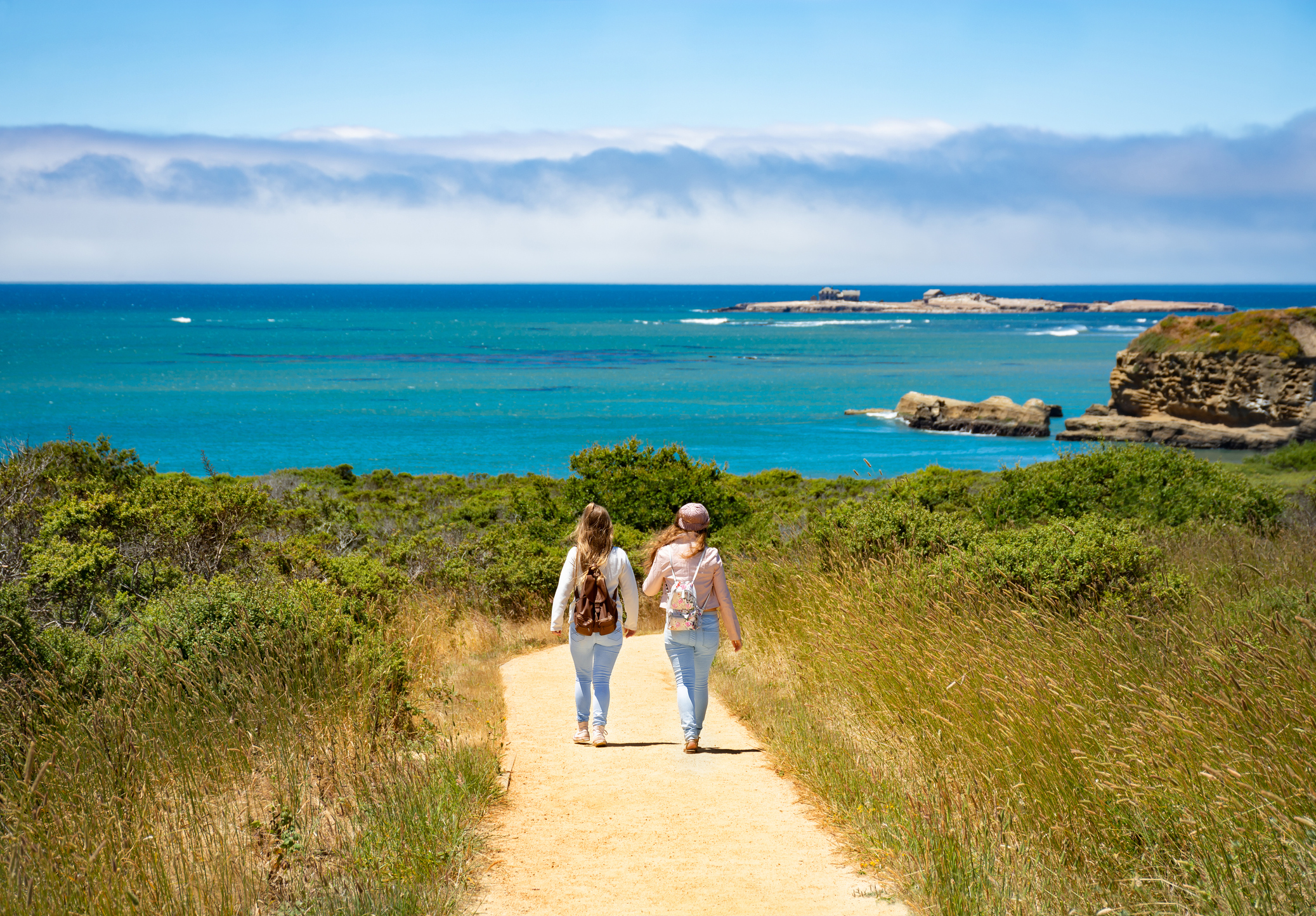 Año Nuevo State Park is a treasure trove of natural beauty.